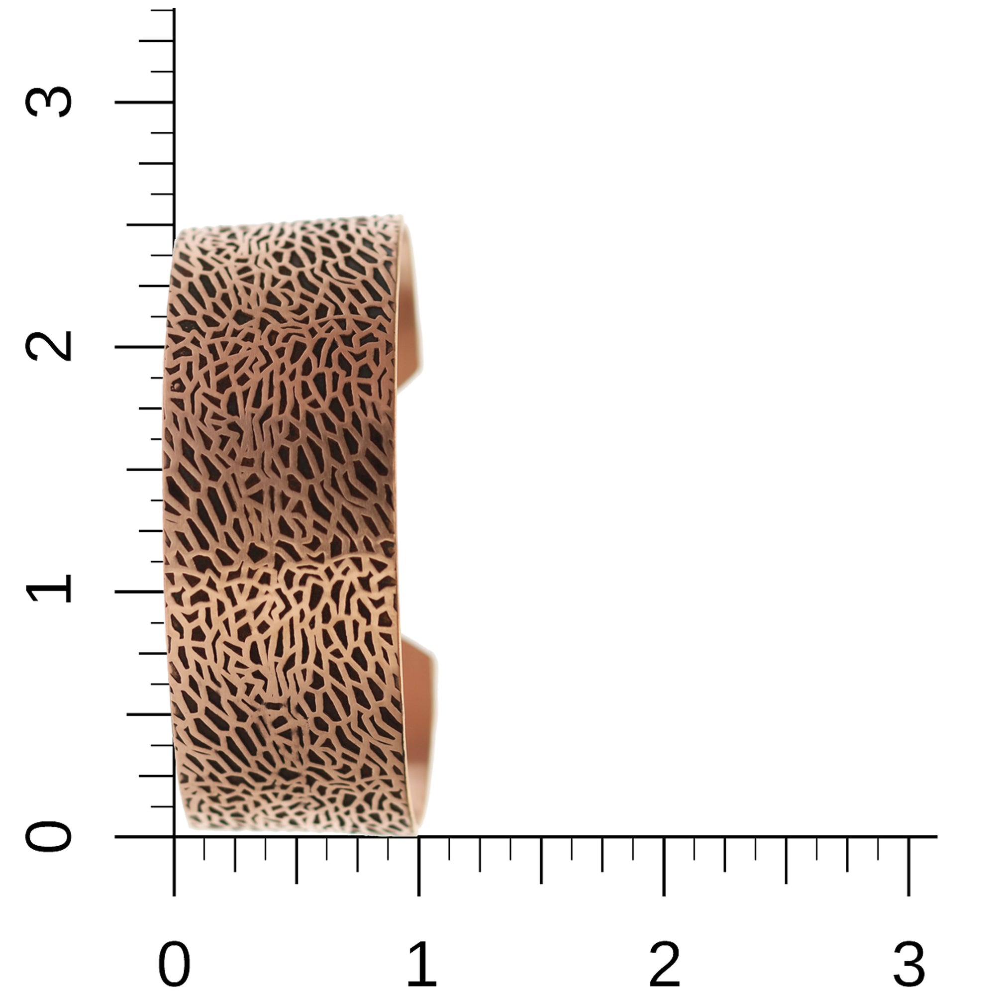 Solid Copper Embossed Sea Fan Men's Cuff  on Ruler for Size and Scale