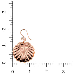 4 of 7: Copper Scallop Shell Dangle Earrings on a Ruler for Size Dimensions